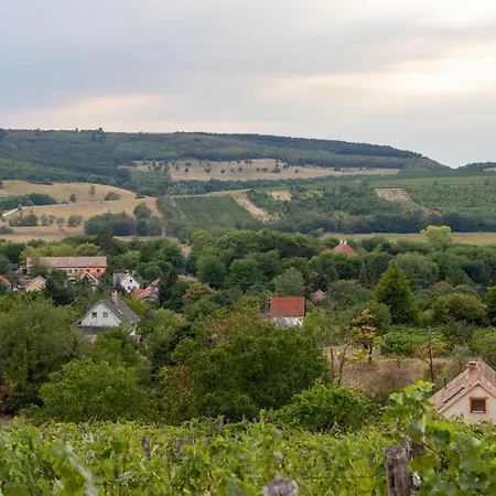 D.five Vineyard & Retreat * Koroshegy
