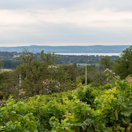D.five Vineyard & Retreat *