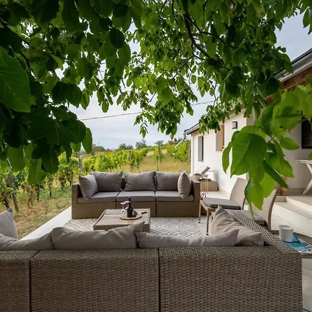 Holiday home D.five Vineyard & Retreat Koroshegy